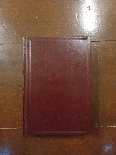 Imagem de capa do Aquele Verão Instante - Os médicos - Tubarão - A ilha eterna