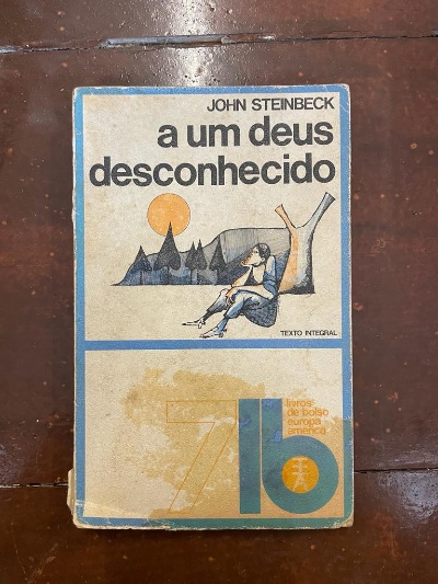 Capa do livro a um deus desconhecido