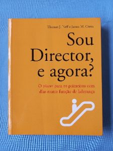 Capa do livro Sou director, e agora? o plano para os primeiros cem dias numa função de liderança