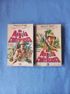 Capa do livro De Angola à constracosta 2 Vols