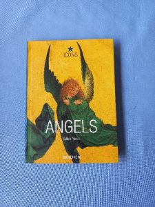 Capa do livro Angels